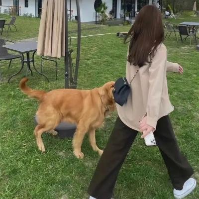 男丁格尔海报