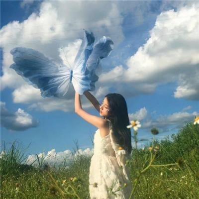 白宫也失眠海报