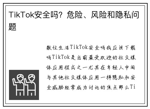 TikTok安全吗？危险、风险和隐私问题